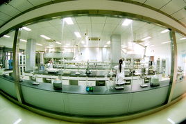 喜旺科技榮膺科技進步獎，技術開發成果獲權威認可